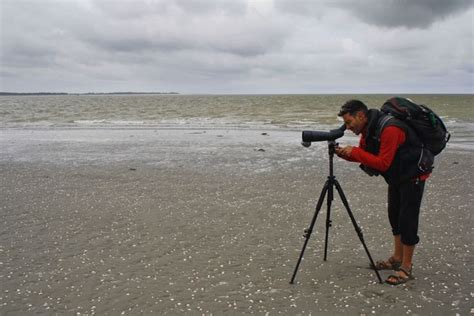 Que Faire Et Que Voir En Baie De Somme Guide Complet Et Bons Plans