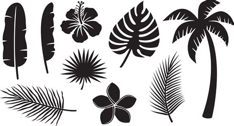 Tropical Plants Icons Collection Hibiscus Banana Leaf Palm Tree Monstera Frangipani Flower