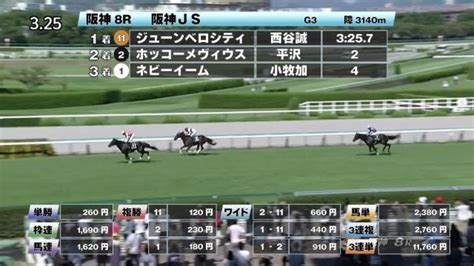 【916 阪神jsほか】阪神ダイジェストjraレース結果 競馬予想動画 Netkeiba