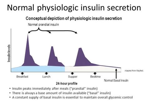 Diabetes Mellitus Flashcards Quizlet