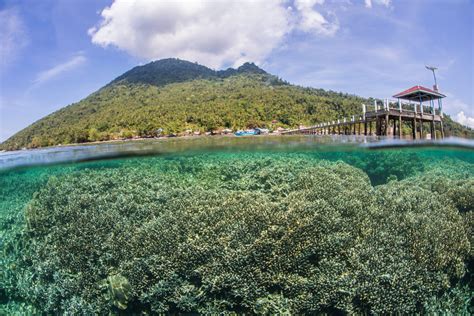 Bunaken National Marine Park Superlative Siladen