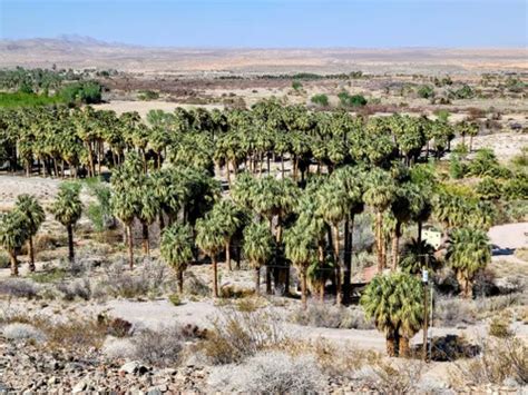 Best Hikes and Trails in Moapa Valley National Wildlife Refuge | AllTrails