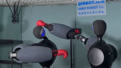 QIBBOT Worlds Fastest Teleoperated Fighting Robot