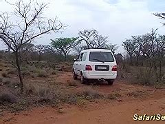 Wild African Safari Sex Orgy PornZog Free Porn Clips