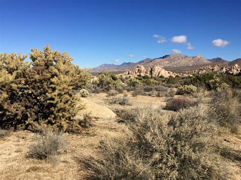 Camping in the Mojave National Preserve - No Back Home