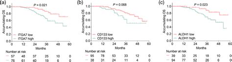 Correlation Of Itga7 Cd133 And Aldh1 Expressions With Accumulating Os