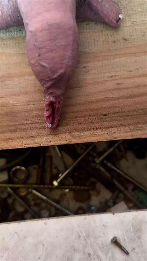 Nailing Gay Amateur Amateur Porn Feat Tomku XHamster