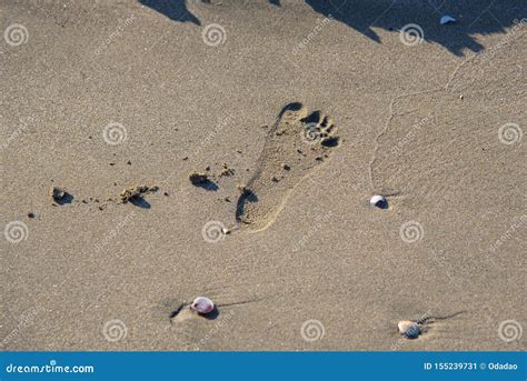 Imprint Of A Children`s Foot Stock Image Image Of Coast Recreation