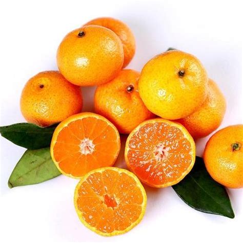 Baby Mandarin Imported Supplier In Delhi Noida Gurgaon Mumbai Pune