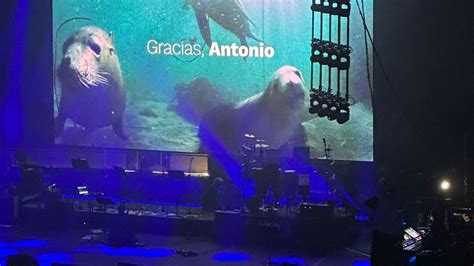 Alba Flores dona la recaudación del concierto homenaje a su padre a