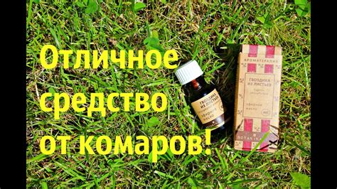 Наше спасение от комаров! - YouTube