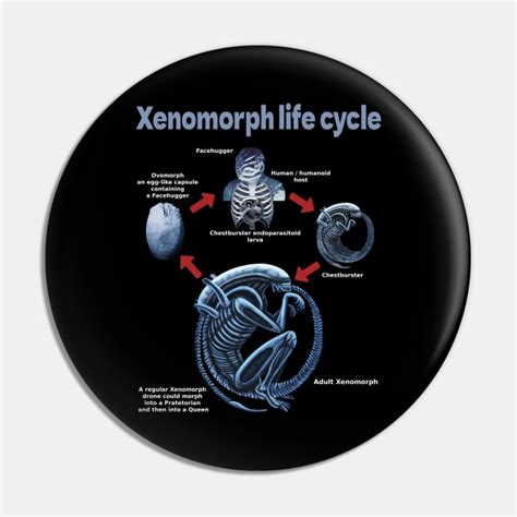 Xenomorph life cycle - Xenomorph - Pin | TeePublic