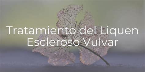 Liquen Escleroso Vulvar Enfoque Y Tratamiento Dra Rizo