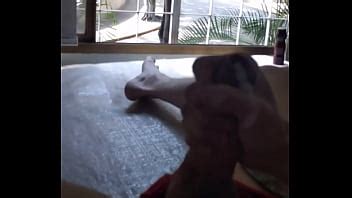 Sacudidas En La Ventana XVIDEOS
