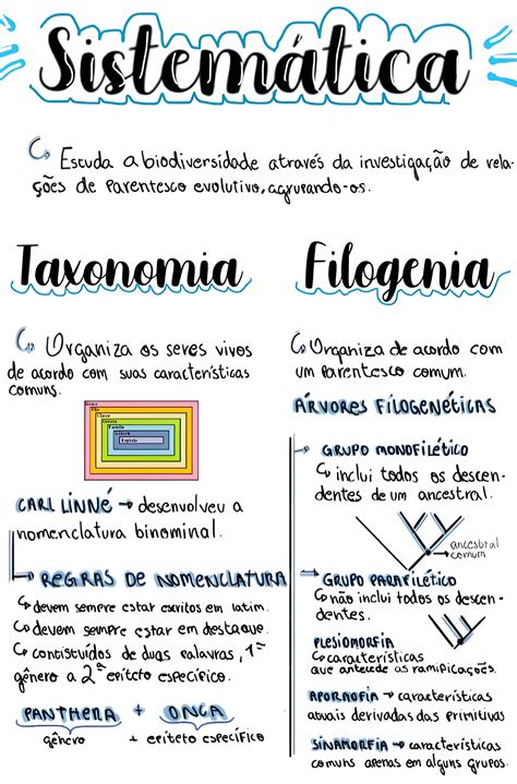 Mapa Mental Sobre Taxonomia Mental Map Studying Hot Sex Picture