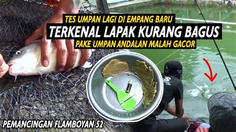 Baru Nyoba Ke Pemancingan Ini Induk Ikan Rame Makanin Banget