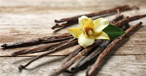 Vanilla: A Deep Dive Workshop | FEMA 