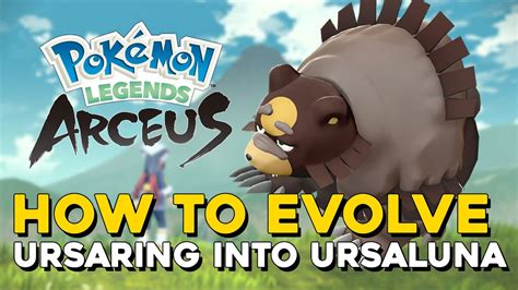 Pokemon Legends Arceus How To Evolve Ursaring Into Ursaluna How To Get