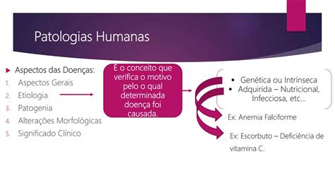 Tipos De Patologias Humanas - Patologias Humanas e Hipertensão Arterial | PPTX