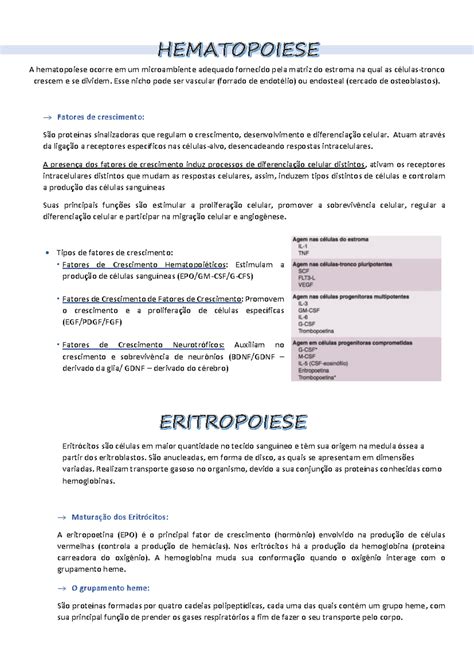 Resumo Hemato A Hematopoiese Ocorre Em Um Microambiente Adequado