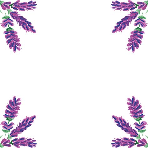 Lavender Border Watercolor - Free vector graphic on Pixabay