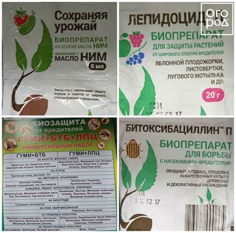 Инсектициды: инструкция по применению препаратов против вредителей ...