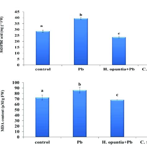 Molecular Structure of Thermoplastic and Thermoset Polymers [8 ...