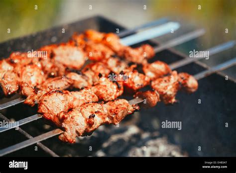 Grilled Marinated Caucasus Barbecue Meat Shashlik Shish Kebab Pork