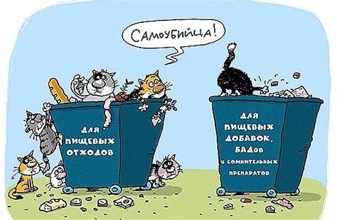 Константин Монастырский и его функциональное питание : SaxarVNorme