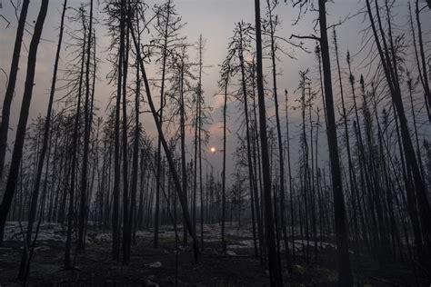 Canada says it can fight climate change and be major oil nation ...