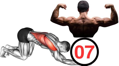 Back Dominators Top 07 Exercises For A Stronger Defined Back Youtube