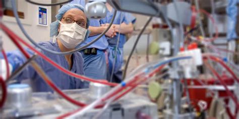 Cardiovascular Perfusionist Explore Health Care Careers Mayo Clinic