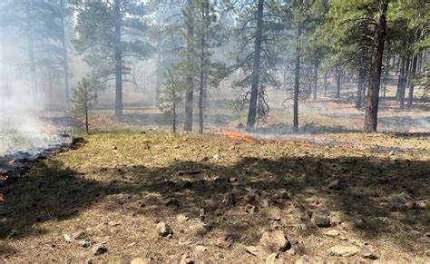 Crews Begin Ignitions On Prescribed Burn On Flagstaff S Observatory Mesa