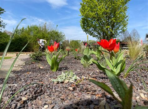 Hennefer Schaugarten eröffnet SPD Hennef