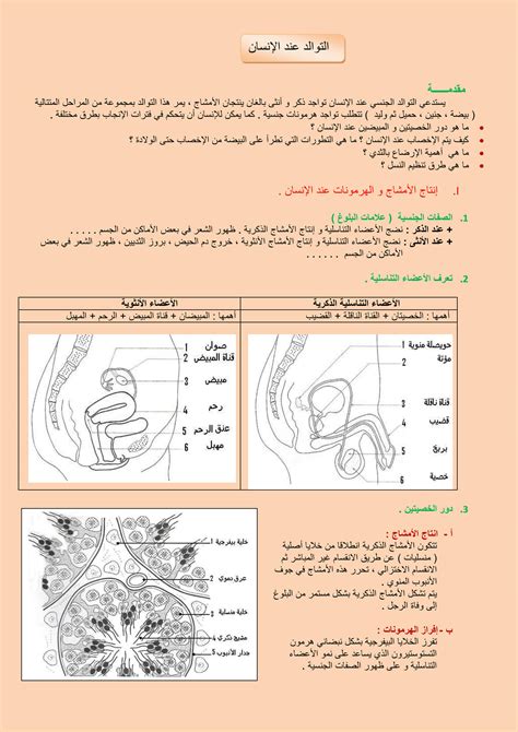 SOLUTION Cours Primaire La Reproduction Chez L Homme Studypool