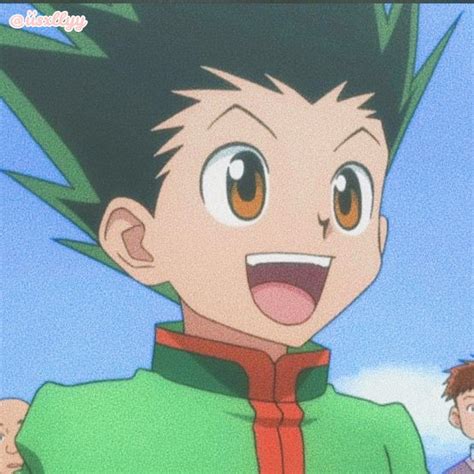 ┊↺ 𝙂𝙤𝙣 ⤨┊ Hunter Anime Hunter X Hunter Cute Anime Character