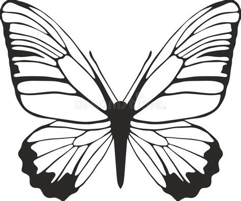 Vector Monochrome Butterfly Beautiful Insect With Big Black Wings