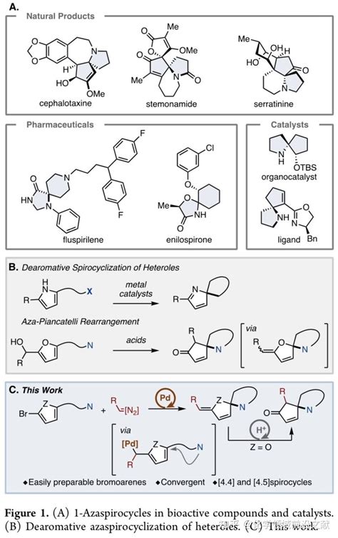 Pd催化溴代芳烃和重氮化合物的螺环化反应构建1 氮杂螺环化合物 知乎