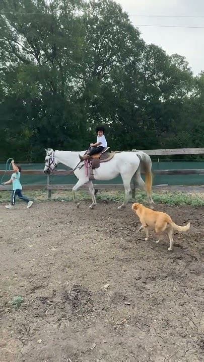 Riding Our Horsey Youtube