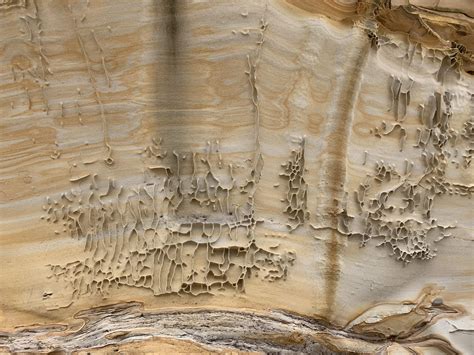 These geometric erosion patterns : r/mildlyinteresting