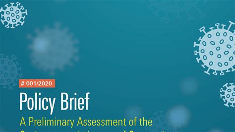 A Preliminary Assessment Of The Socio Economic Impact Of Coronavirus