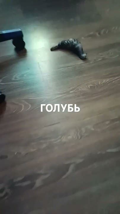 Это моя любимая игрушка её зовут пельмень - YouTube