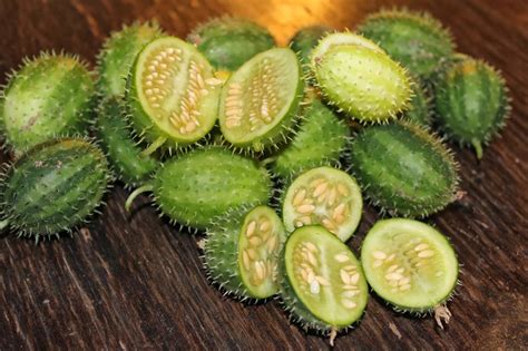 Ангурия (арбузный огурец), съедобная, декоративная лиана семена купить ...