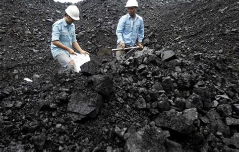 Mempelajari Tahapan Proses Penambangan Batubara Ilmu Tambang