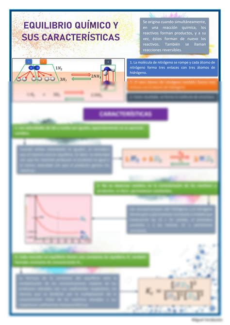 Solution Infograf A Sobre El Equilibrio Qu Mico Y Sus Caracter Sticas