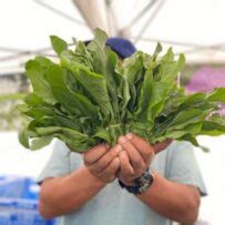 South Pasadena Farmers Market – informational site