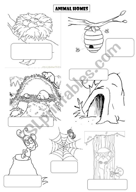 Animal homes - ESL worksheet by Etche