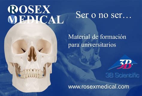 3b Scientific Productos Didácticos De Anatomía Love Nature