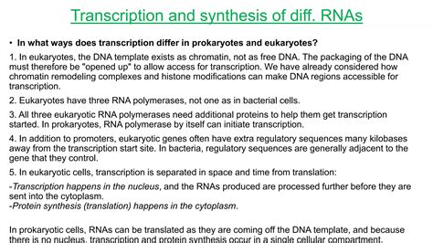 Protein Synthesis In Prokaryotes And Eukaroytes Ppt