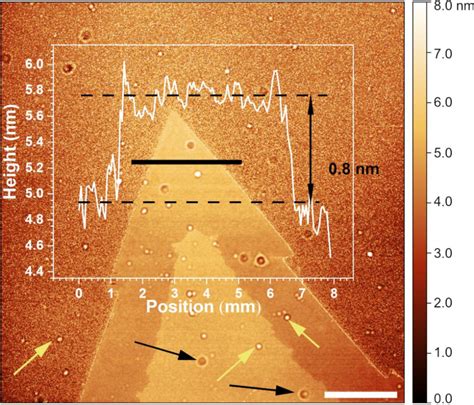 Afm Topography Image Of The Isolated As Grown Mos2 Bilayer Obtained For